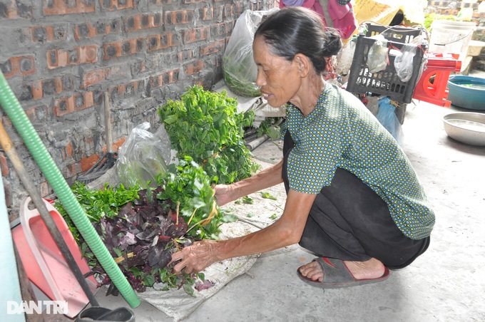 Thương cụ bà đau yếu, sống qua ngày nhờ những mớ rau 3 nghìn đồng - 3