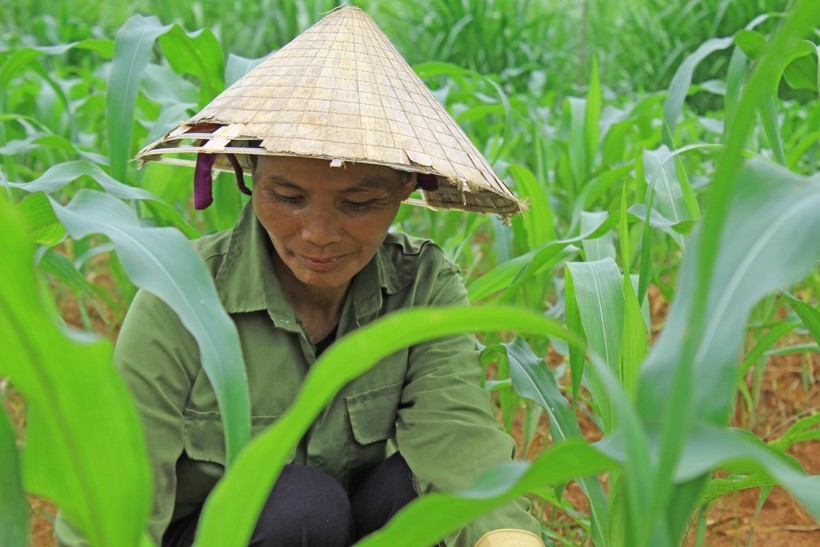 Hỗ trợ nữ sinh Mường đạt 29,25 điểm viết tiếp ước mơ đại học - Hình 4