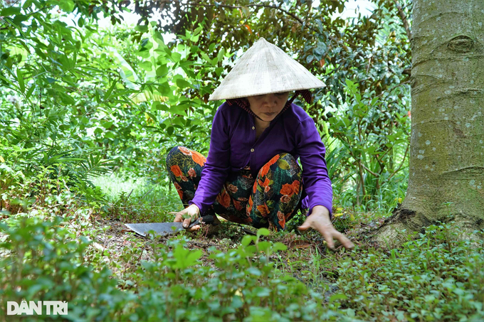 Người đàn bà tận cùng khổ đau, chồng chết tai nạn, 2 con gặp họa 