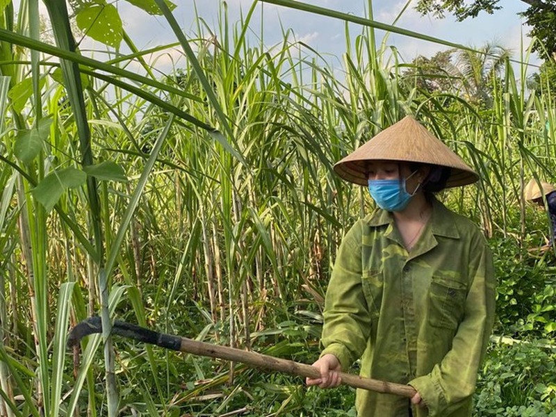 Nu sinh thi dai hoc 31 diem: Vuot kho trong hoan canh cuc eo le-Hinh-4