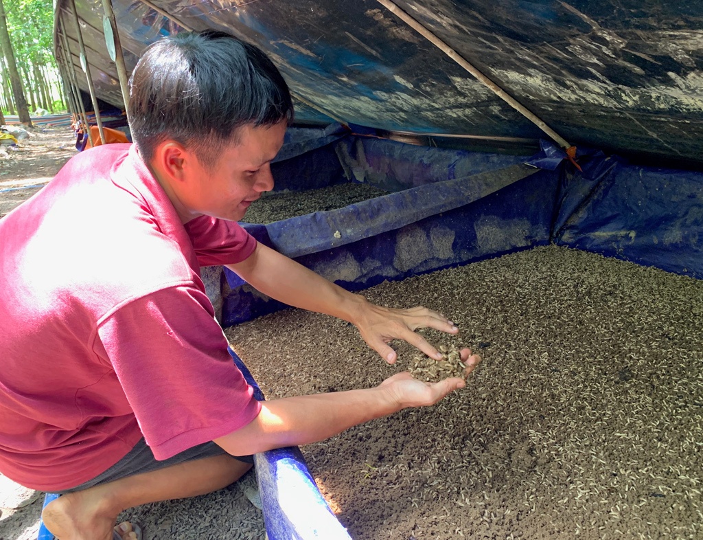 Lựa chọn làm giàu từ nghề nuôi ruồi, anh Cảnh đã phải bỏ ngoài tai biết bao lời bàn tán, chê bai của những người xung quanh /// Tuấn Anh