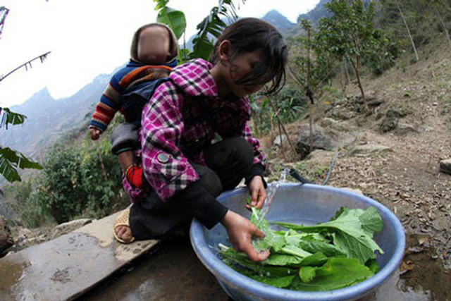  Vừa địu em vừa lo kiếm rau săn. (Ảnh: Lao Động)