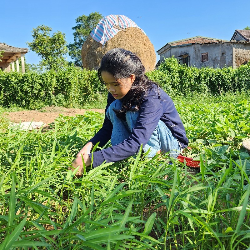  Na khát khao được đến trường nhưng có lẽ ước mơ khó thực hiện được. (Ảnh: Vietnamnet)