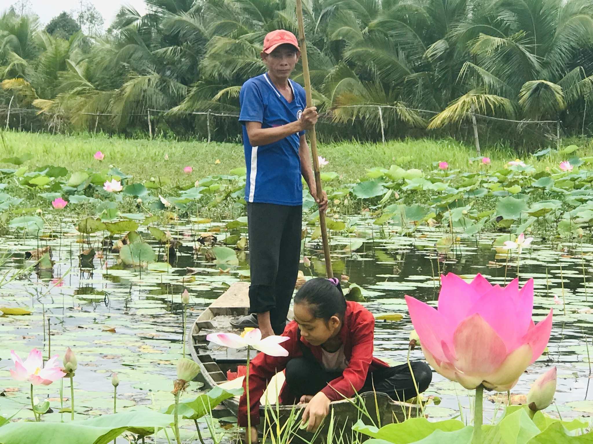 Tan trường đi chăn vịt, nữ sinh nghèo có thành tích học đáng ngưỡng mộ - ảnh 8